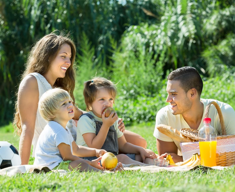 Image of family having a picnic